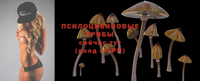 мега как зайти  Минусинск  Галлюциногенные грибы Magic Shrooms 